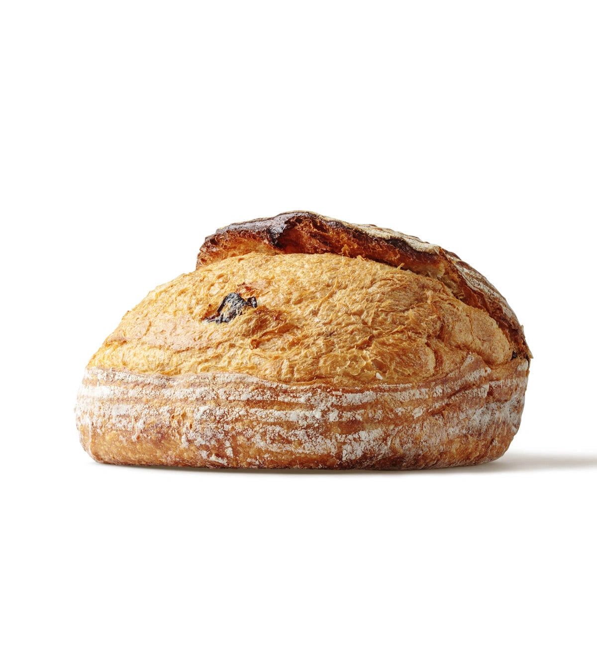 fresh source some bread gallery 1